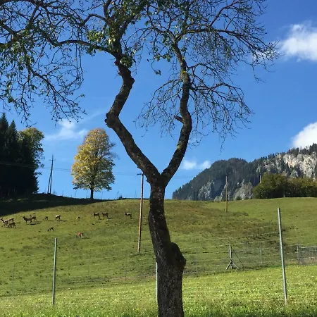 Berghof Haselsberger Appartements Sankt Johann in Tirol Exteriér fotografie