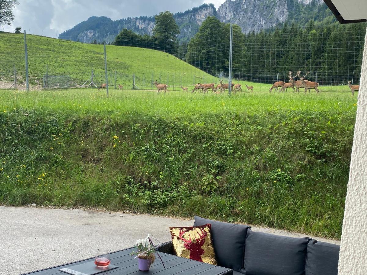 Berghof Haselsberger Apartment