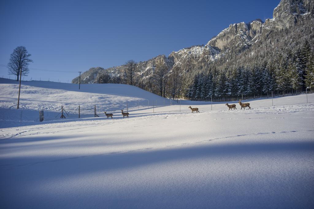 Berghof Haselsberger * Sankt Johann in Tirol