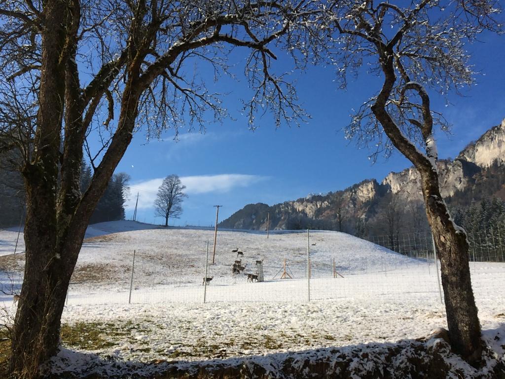 Apartment Berghof Haselsberger