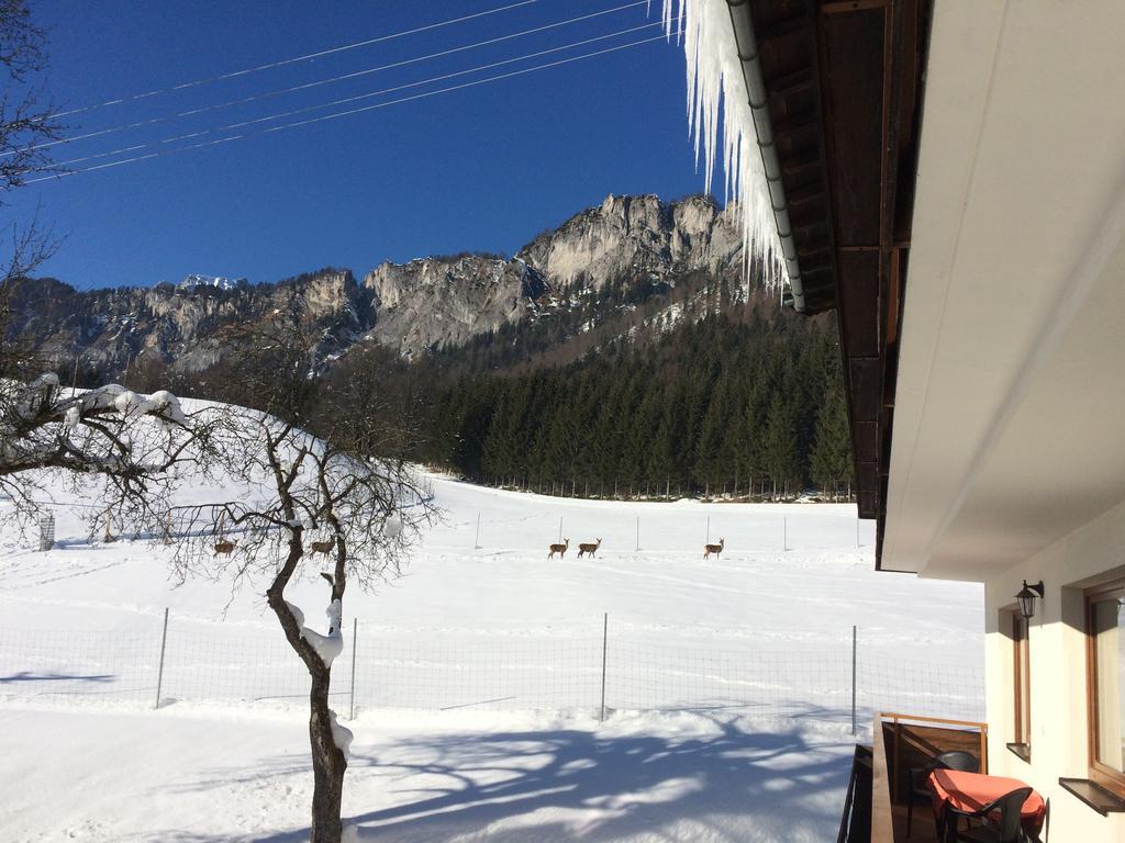 Berghof Haselsberger Sankt Johann in Tirol