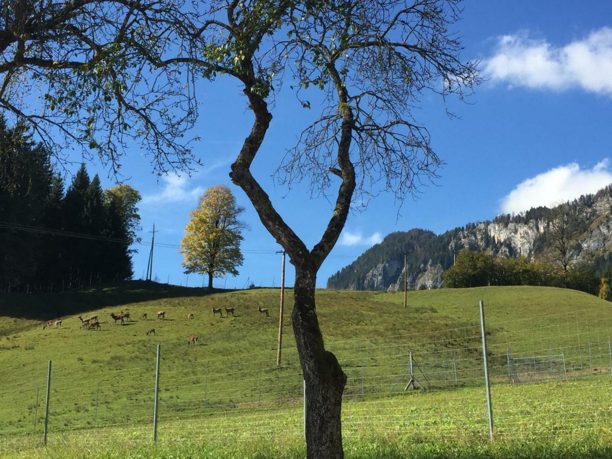 Apartment Berghof Haselsberger
