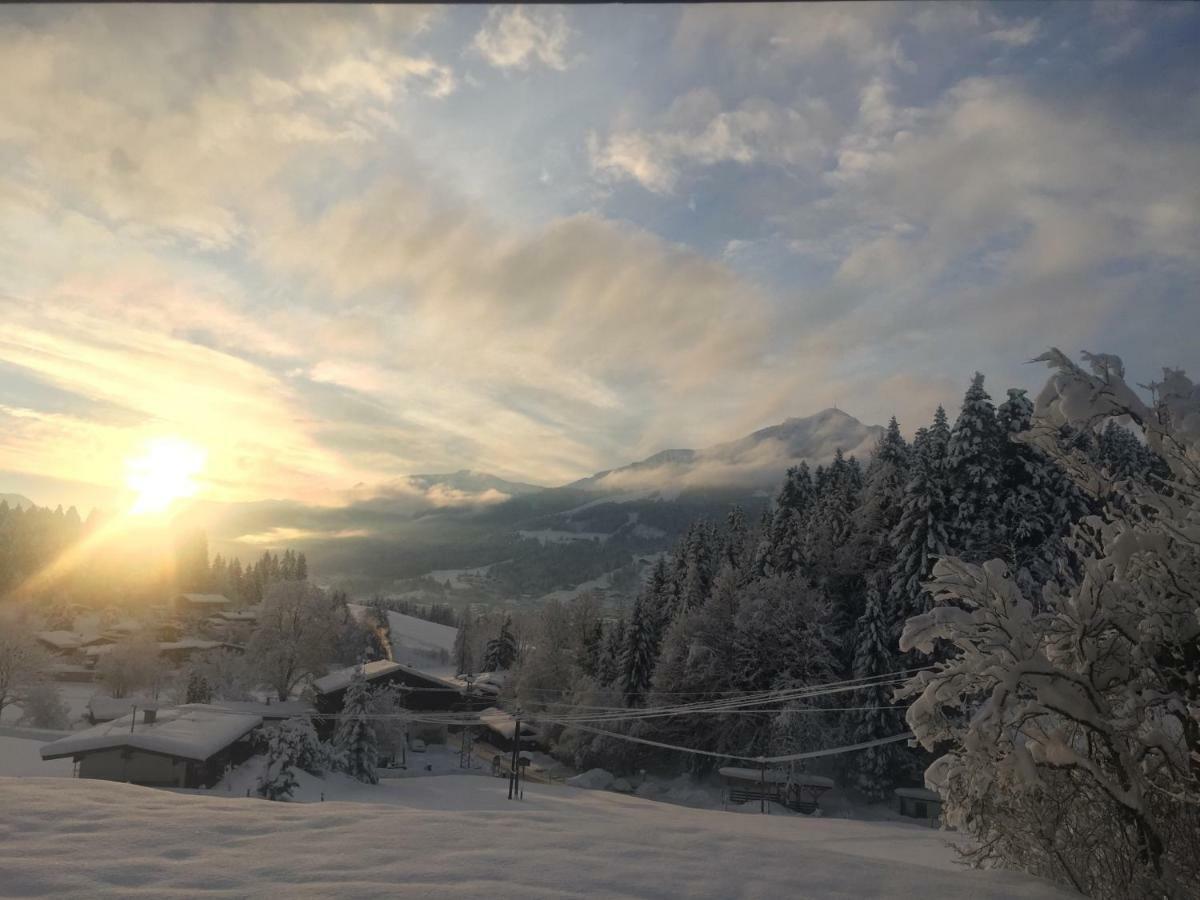 Apartment Berghof Haselsberger Sankt Johann in Tirol