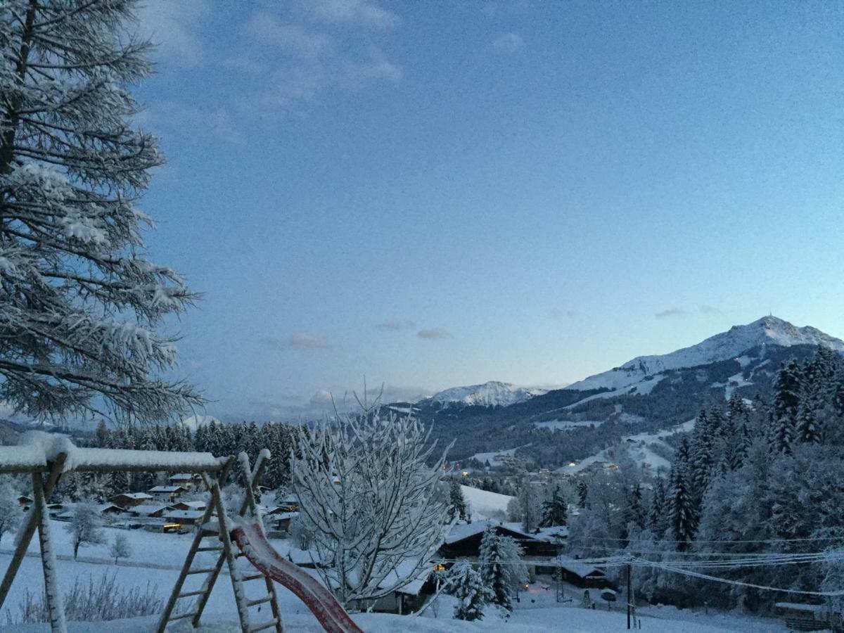 Apartment Berghof Haselsberger Sankt Johann in Tirol