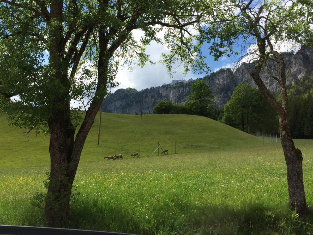 Apartment Berghof Haselsberger Sankt Johann in Tirol